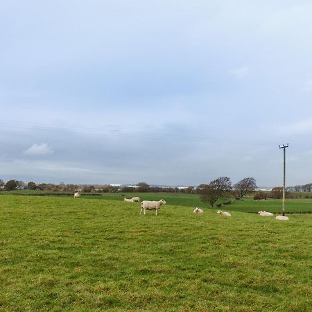 The Paddock At Brickrow Farm Villa Ayr Exteriör bild